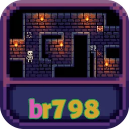 br798