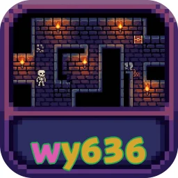 wy636